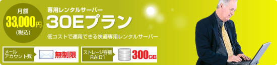 【専用レンタルサーバー　30Eプラン】低コストで運用できる快適専用レンタルサーバー